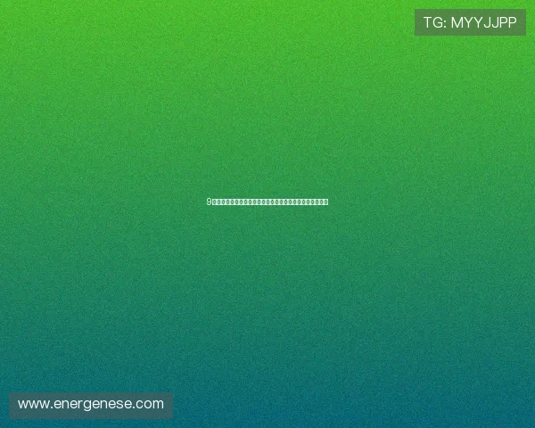 9游娱乐不断优化用户界面，提升玩家操作体验和游戏流畅度